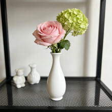 Vaso da fiori moderno e sottile in plastica per fiori secchi – Decorazione minimalista per la casa, leggero e ideale per esporre l'erba della pampa
