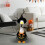 Halloween Porch Goose Witch Costume 1