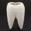 Tooth Shape White Ceramic Flower Pot Modern Design Planter Teeth Model  Desktop Pot  Gift(without plants) 2