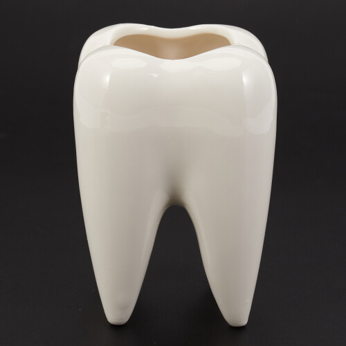 Tooth Shape White Ceramic Flower Pot Modern Design Planter Teeth Model  Desktop Pot  Gift(without plants) 1