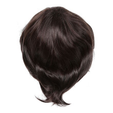 Fashion men's wig short straight high temperature silk Synthetic wig full wigs/artistic men Brown black wigs for men