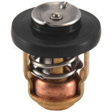 Remplacement Du Thermostat Hors-Bord de 50 DegréS pour 6 Chevaux à 40 Chevaux 2 Temps