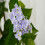Hortensie artificială 120cm sau 150cm 2
