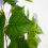 Hortensie artificială 120cm sau 150cm 5