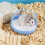 Hamster-Sandbadebox, transparent, Haustierbadezimmer 4