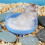 Hamster-Sandbadebox, transparent, Haustierbadezimmer 5