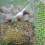 PE Transparent Resealable Bags Assorted Sizes 6
