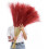Faux Pampas Grass Stems 38 in 10-Pack 1