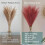 Faux Pampas Grass Stems 38 in 10-Pack 4