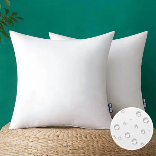Outdoor Pillow Insert Waterproof 22x22 Inch Square 2 Pack
