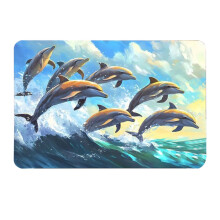 Dolphin3D fløyelsgulvmatte 40x60cm