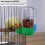 Ensemble de 3 bouteilles distributeur d'eau pour perruches KALLORY 8
