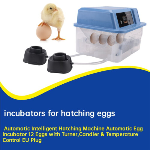 Automatic Intelligent Hatching Machine Automatic Egg Incubator 12 Eggs with Turner,Candler & Temperature Control EU Plug 1