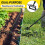 Houe à étrier robuste 73" réglable 2 en 1 2