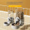 Νέα Tepy Gravity Pet Auto Feeder Ποτιστήρι για σκύλους, κρεμαστό κλουβί, λεκάνη για σκύλους, 3