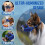 Dog Muzzle Air Mesh Basket for Medium Large Dogs 1 Pack 4