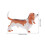 Φιγούρα Basset Hound από πλαστικό για διακόσμηση σπιτιού 2
