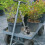 1PC Dipper with Long Handle for Fetching Water in Household Users 3