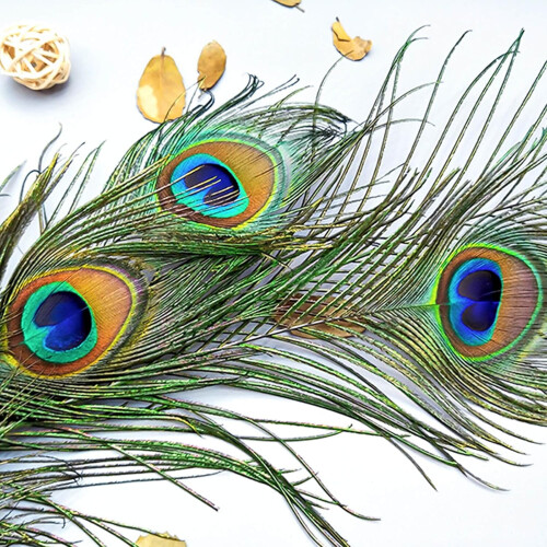 Pacote com 50 penas de pavão de 40 a 45 cm (16 a 18 polegadas) para artesanato, decoração de casamento e Halloween. 1