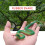Serpent de Simulation en Caoutchouc Jouet d'Astuce - Vert 3
