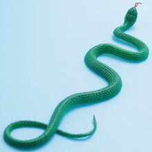 Simulation soft plastic toy snake Simulation Snake Rubber Tip Toy - Green