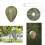 Papierattrappe Wespennest, gelb, 6er-Pack 6