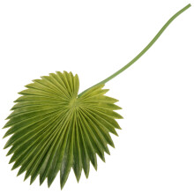 Guirlanda de folhas de palmeira para decoração tropical com haste (1 peça)