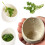 Ceramic Herb Stripper Bowl with Multiple Hole Sizes for Thyme, Rosemary, Parsley – Handmade Kitchen Prep Tool (1 Pc, 3") 7