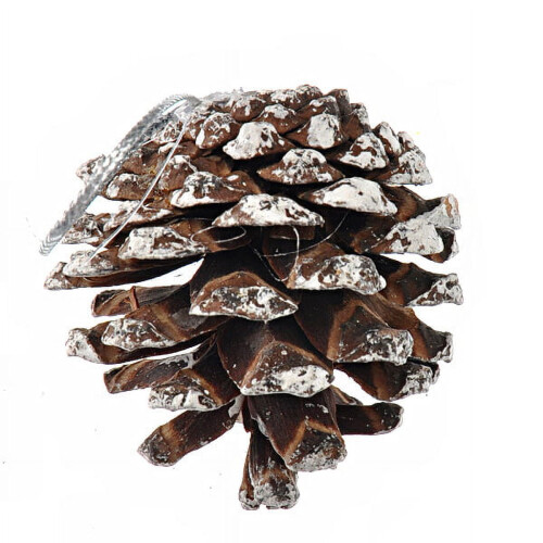 Christmas Tree Decorative Natural Pinecone Pine Nut Christmas Decoration 9 pcs/set (Silver) 1