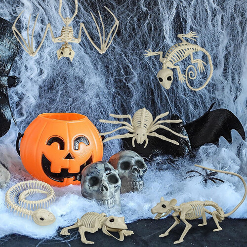 Σκελετοί ζώων για το Halloween (Σκύλος, Νυχτερίδα, Βάτραχος, Σκορπιός, Αράχνη, Φίδι, 1