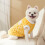 Gelbe winddichte Hundewinterjacke XL 4