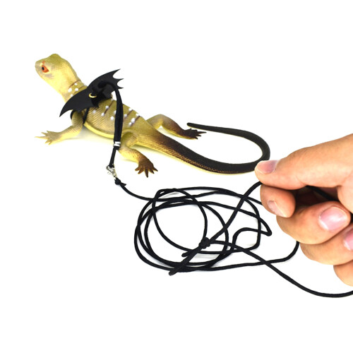 Lizard Leash with Wings Adjustable Bearded Dragon Harness for Small Animals 1