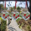 Glass Hummingbird Feeder Heart Shape 3 Pack 4