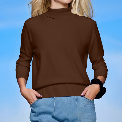Pulls à manches longues pour femmes, pulls décontractés, pulls amples à col montant, pulls en maille pour femmes, pulls d'automne et d'hiver 1
