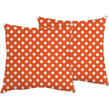 Lot de 2 housses de coussin en coton 45 x 45 cm avec fermeture éclair