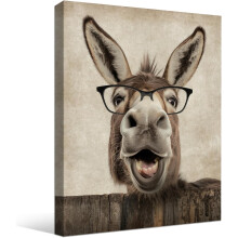 Funny Donkey Canvas Wall Art 12x16 in