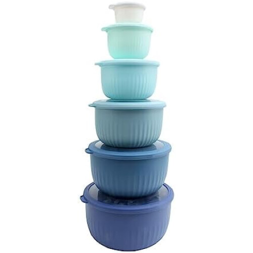12-teiliges Ombré-Rührschüssel-Set mit Deckeln