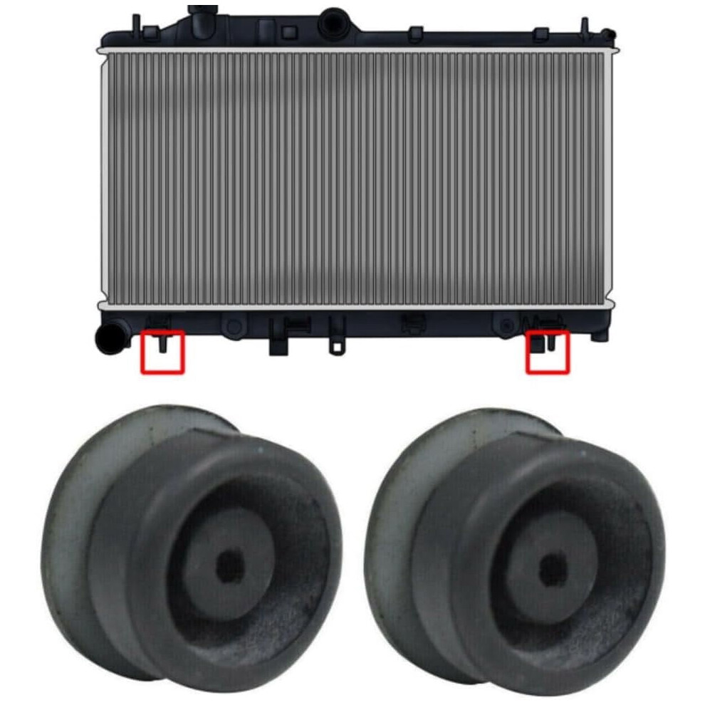 2Pcs Radiator Mount Bushing Replacement For Accord Civic CrâV 74172-Sm4-000 Black 9773935219700