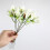 Cherry Blossom 3D Love Greeting Card for Anniversary 3