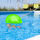 Rete da skimmer per piscina con asta regolabile per piscine, laghetti e 5