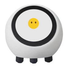 XiaoZhi AI Voice Chat Robot DeepSeek ESP32-S3 N16R8 Development Board WiFi BT BLE5 1.28In LCD Display ESP Home Assistant