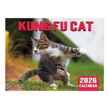 Calendário de parede Gato Kung Fu 2026, Calendário mensal divertido com gatos em papel e espaço para anotações, ideal para decoração de casa,
