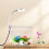 Fish Tanks,93% Light Transmittance Beta Fish Aquariums,Smooth Mirror Edges Beta Fish Tank,Size2 2