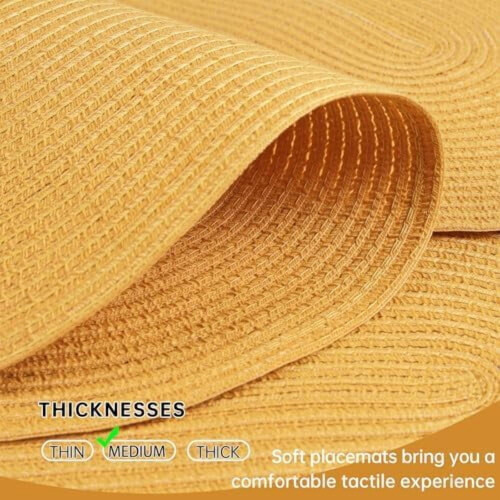 Oval Braided Polyester Placemats Set of 6 2