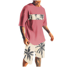 Men's Shorts Sets 2 Piece Outfits Round Neck Printing Sports Slim Elastic Waistband Short Sleeve Round-Neck Blouses