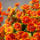 Artificial Chrysanthemums UV-Resistant Outdoor Fall Flowers 2