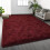 Shag Area Rug4x6 – Εξαιρετικά μαλακό βελούδινο χαλί για σαλόνι, υπνοδωμάτιο, παιδικό 1