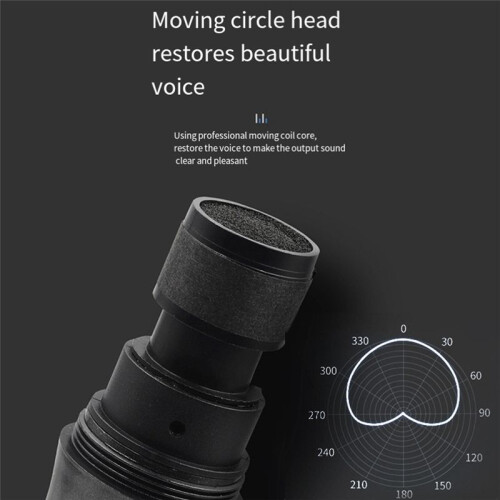 Wireless Microphone 2 Channels UHF Fixed Frequency Handheld Mic Micphone for Party Professional Show Meeting 1