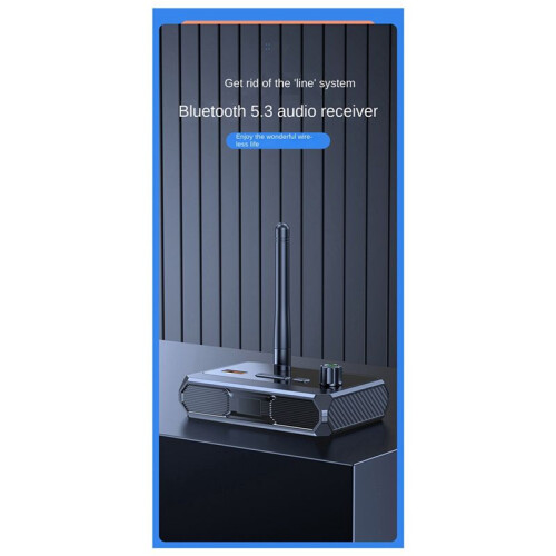 2X  5.3 Digital Display -Mottagare Fiberoptisk Koaxialadapter StöDer U Disk MP3-Spelare 2