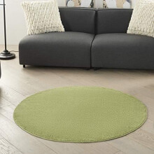 Green Indoor/Outdoor Round Area Rug 4 ft